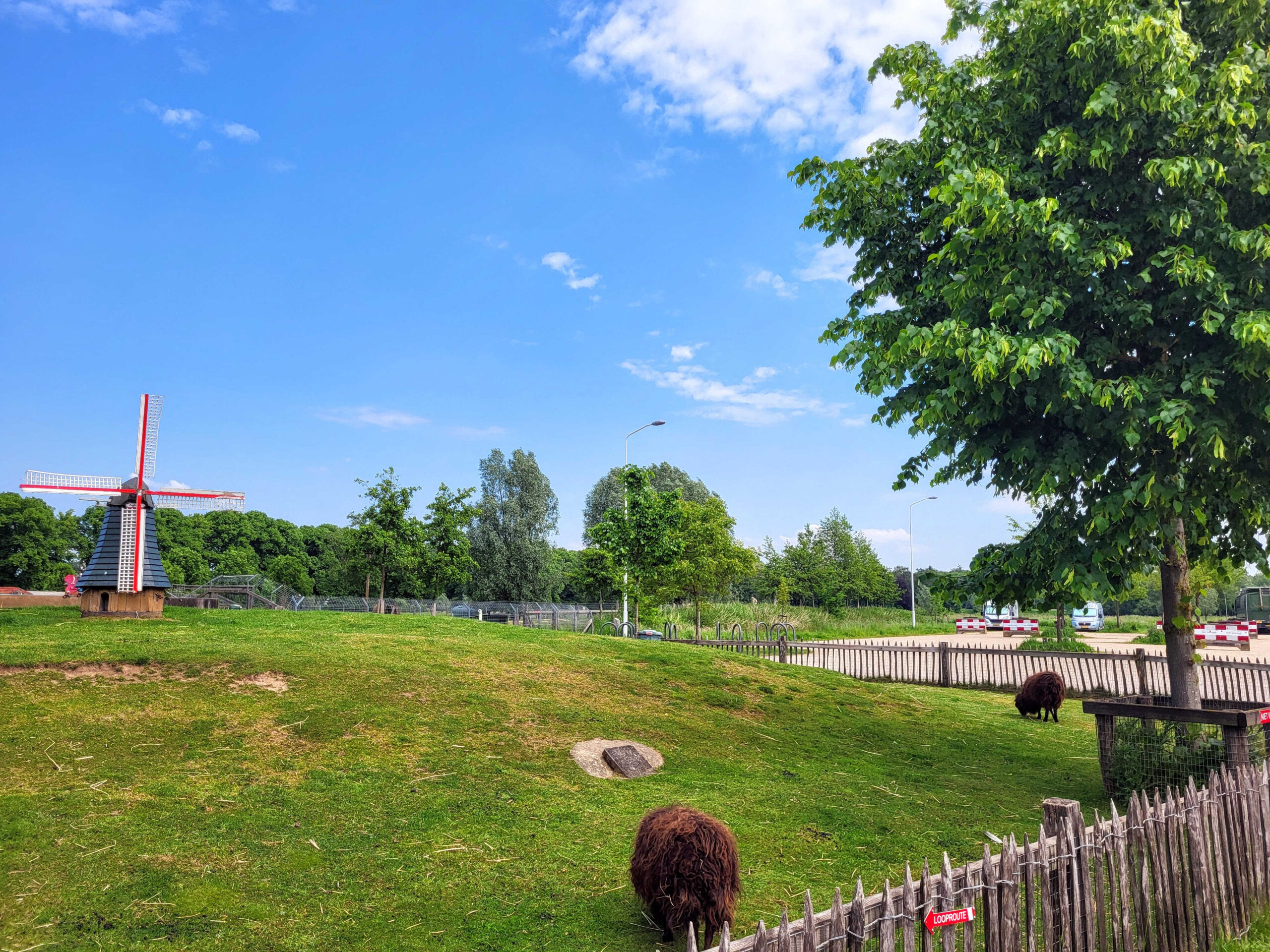 Camperplaats Gendringen kinderboerderij